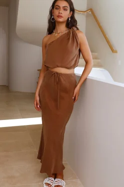 Dandelion Dreaming Skirt Brown