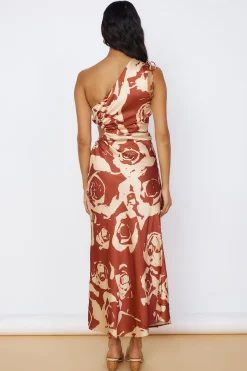 Fulfilled Dreams Maxi Dress Brown