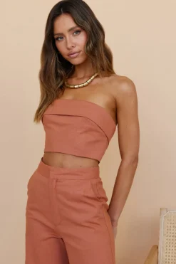 In Hindsight Crop Top Rust
