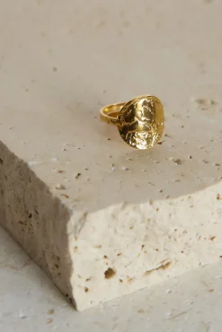18k Gold Plated All In Ring gold
