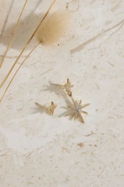 18K Gold Plated Evange Line Earrings Gold