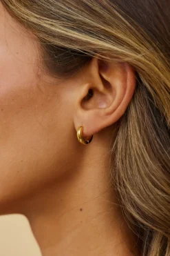 18k Gold Plated Mine Forever Earrings Gold