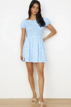 Like A Bluebird Dress