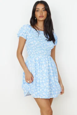 Like A Bluebird Dress