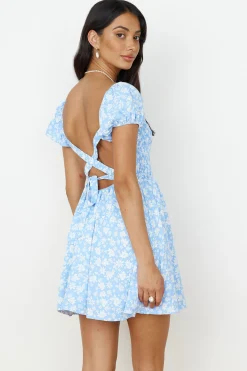 Like A Bluebird Dress