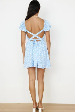 Like A Bluebird Dress