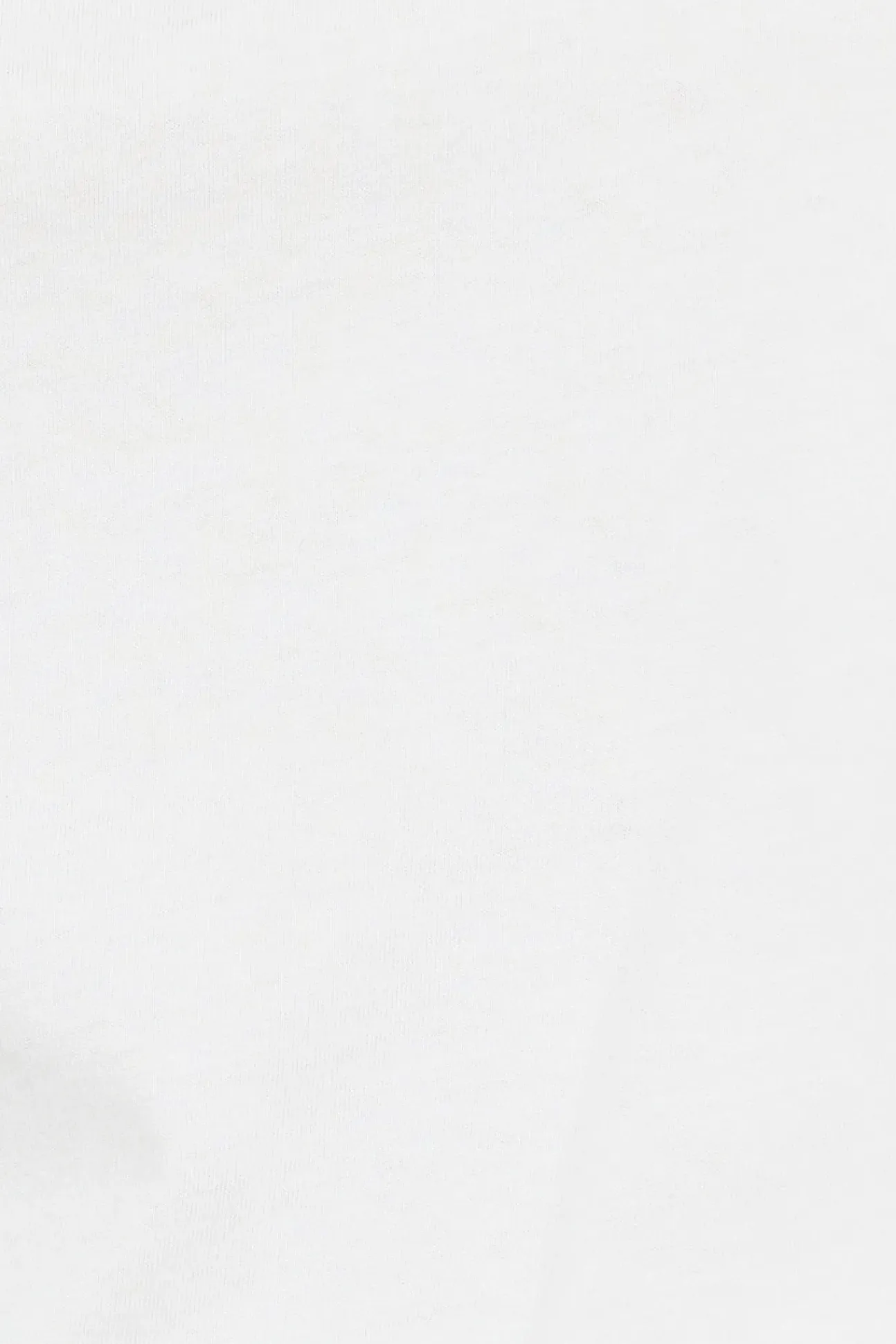 RIDERS BY LEE Classic Tee Vintage White